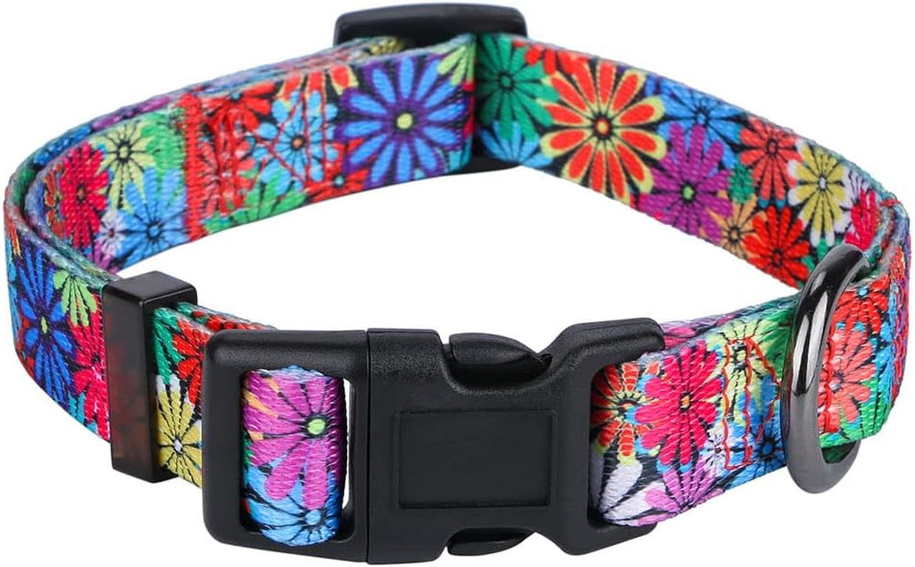 BlossomPaws™ Adjustable Violet Dog Collar