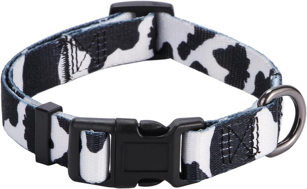 BlossomPaws™ Adjustable Violet Dog Collar