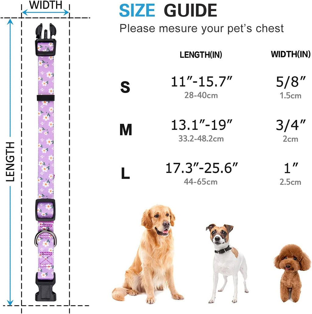 BlossomPaws™ Adjustable Violet Dog Collar
