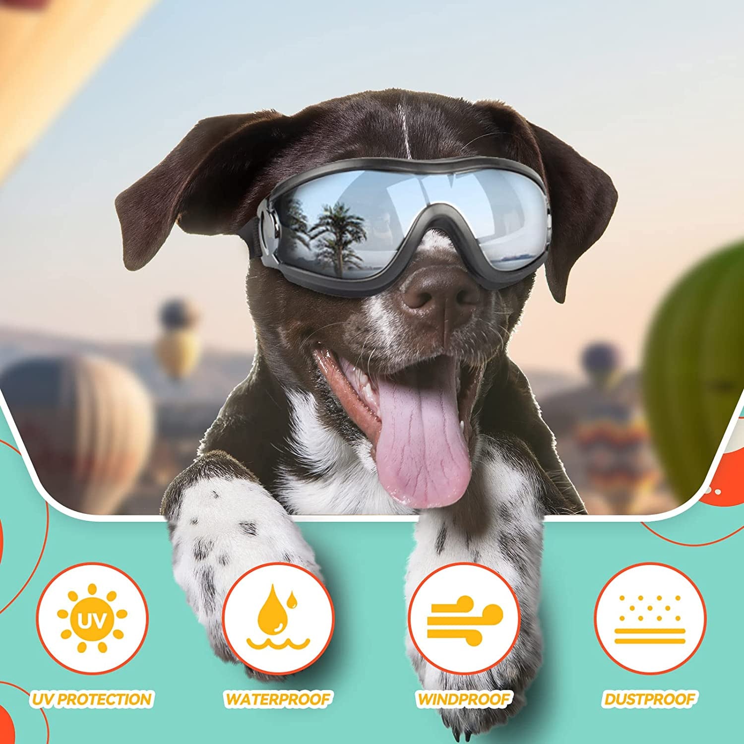 Eye Protection Goggles for Dogs 