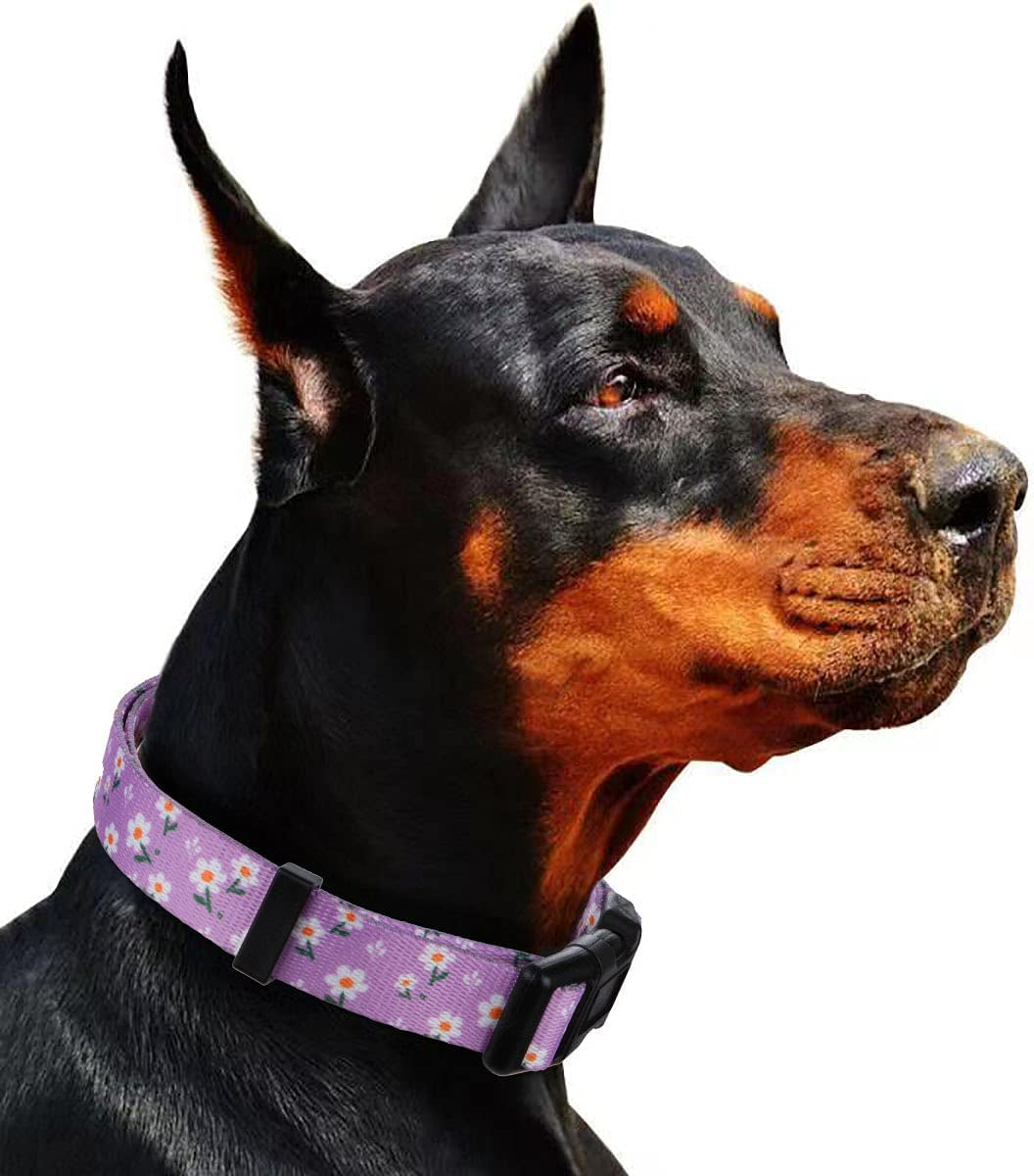 BlossomPaws™ Adjustable Violet Dog Collar