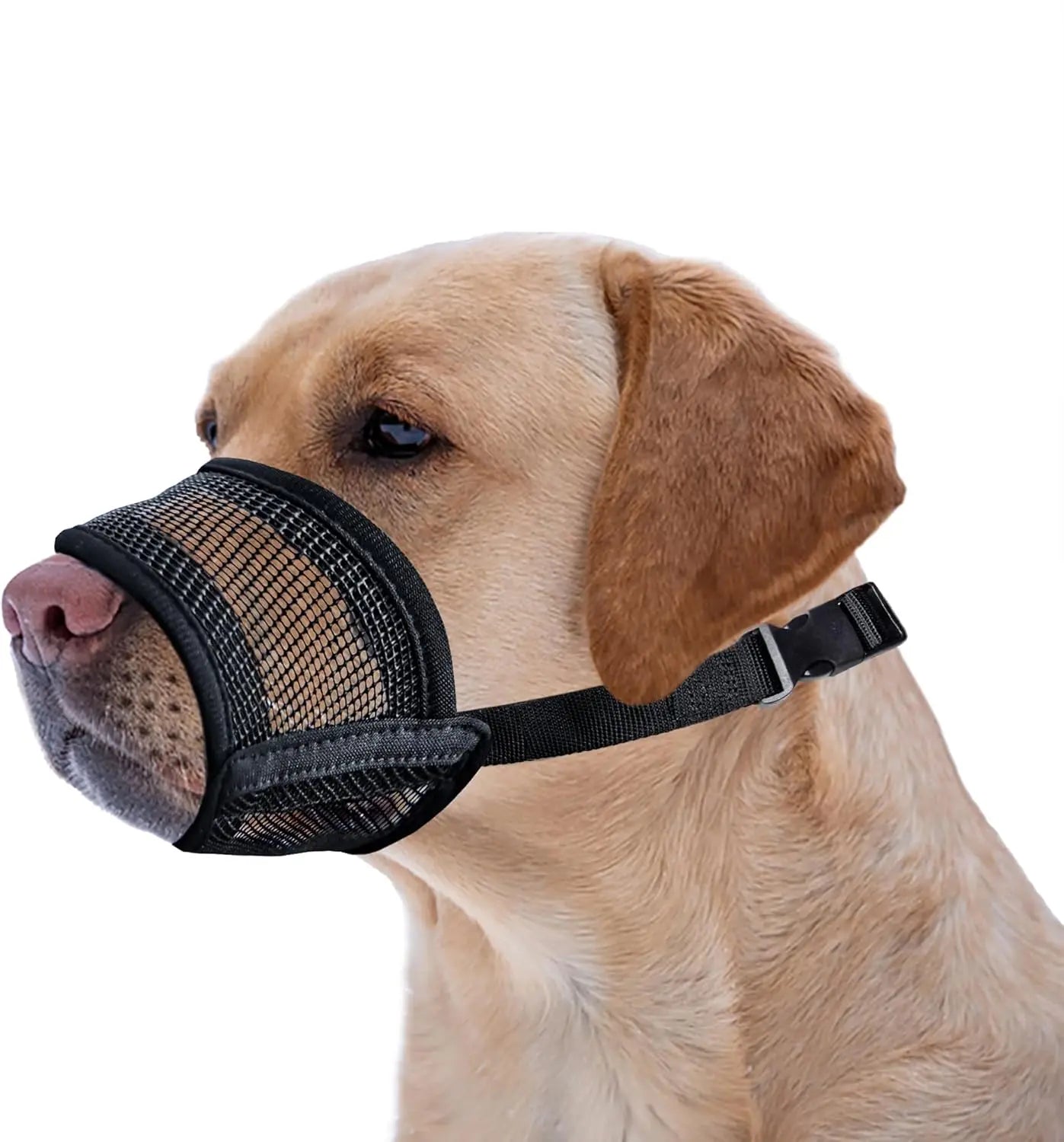 AeroMesh™ Adjustable Comfort Muzzle