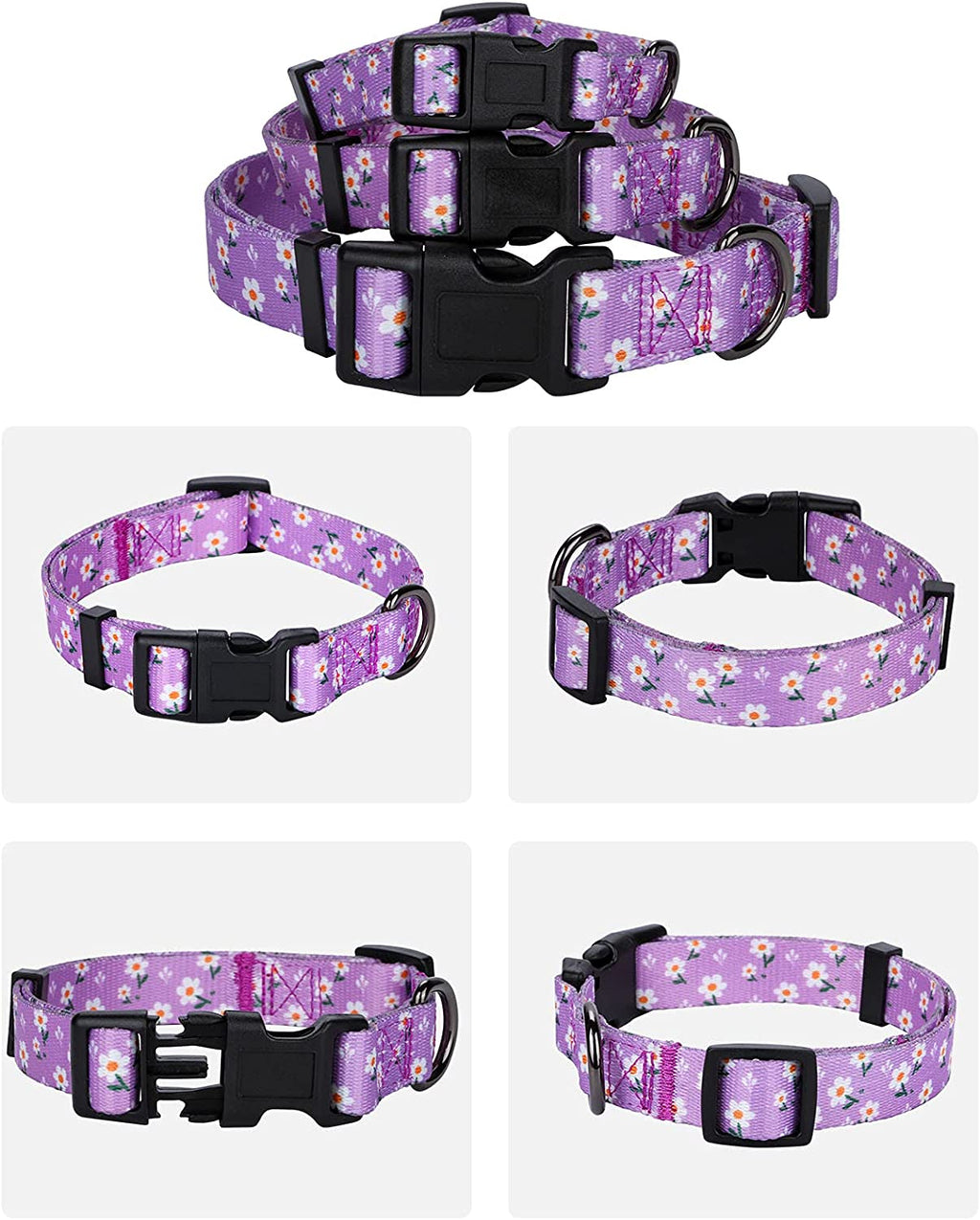 BlossomPaws™ Adjustable Violet Dog Collar