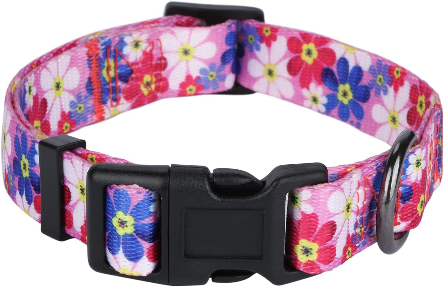 BlossomPaws™ Adjustable Violet Dog Collar