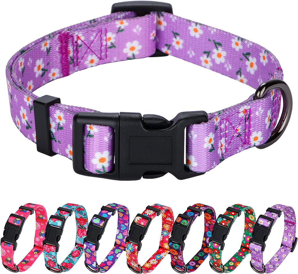 BlossomPaws™ Adjustable Violet Dog Collar