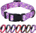 BlossomPaws™ Adjustable Violet Dog Collar