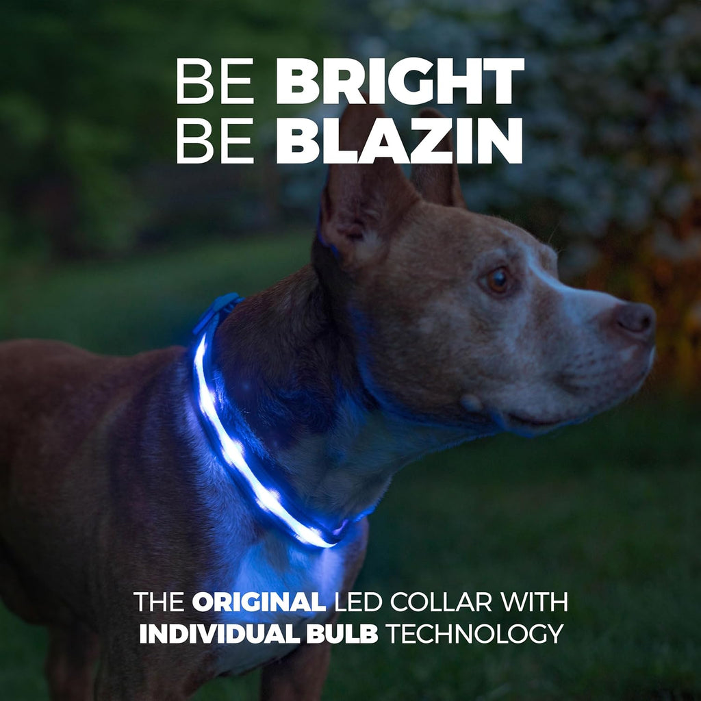 The NightGlow™ Ultra-Visibility LED Rechargeable Collar Rechargeable
