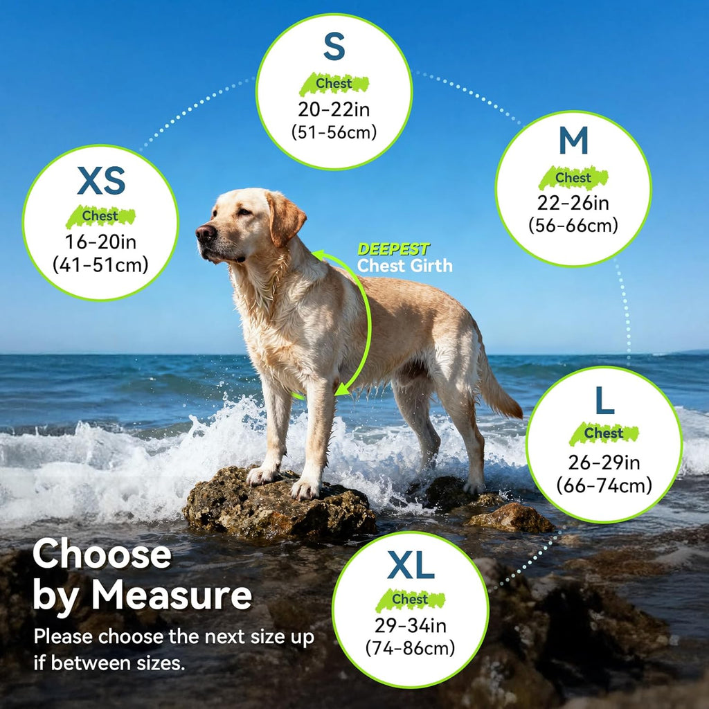 Premium Neoprene Dog Life Vest