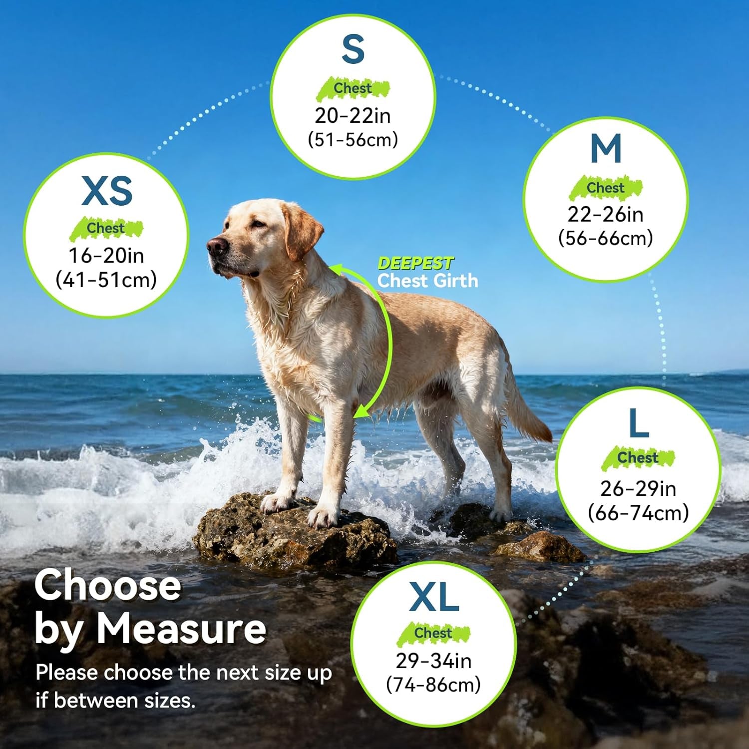 Premium Neoprene Dog Life Vest