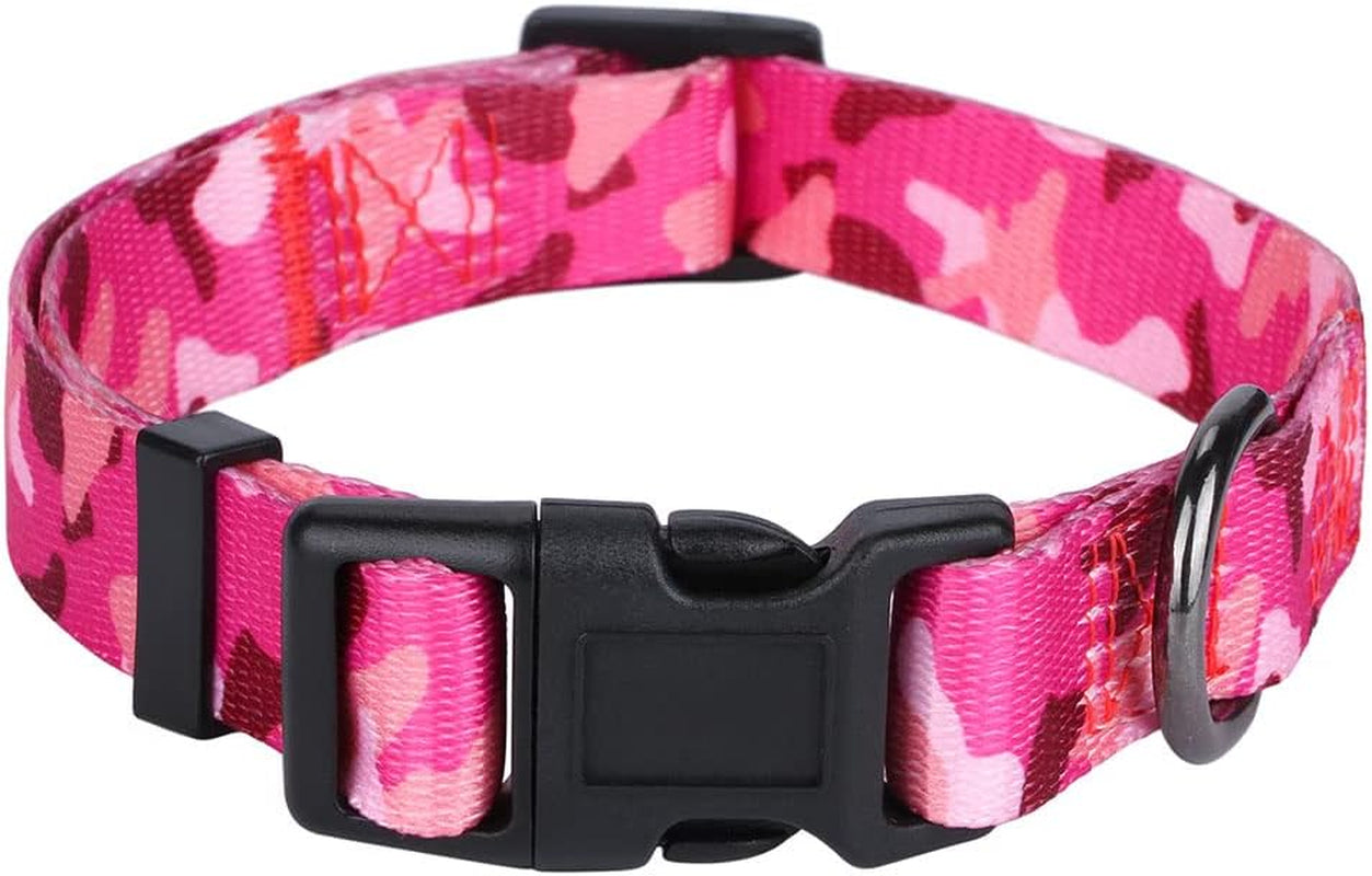 BlossomPaws™ Adjustable Violet Dog Collar