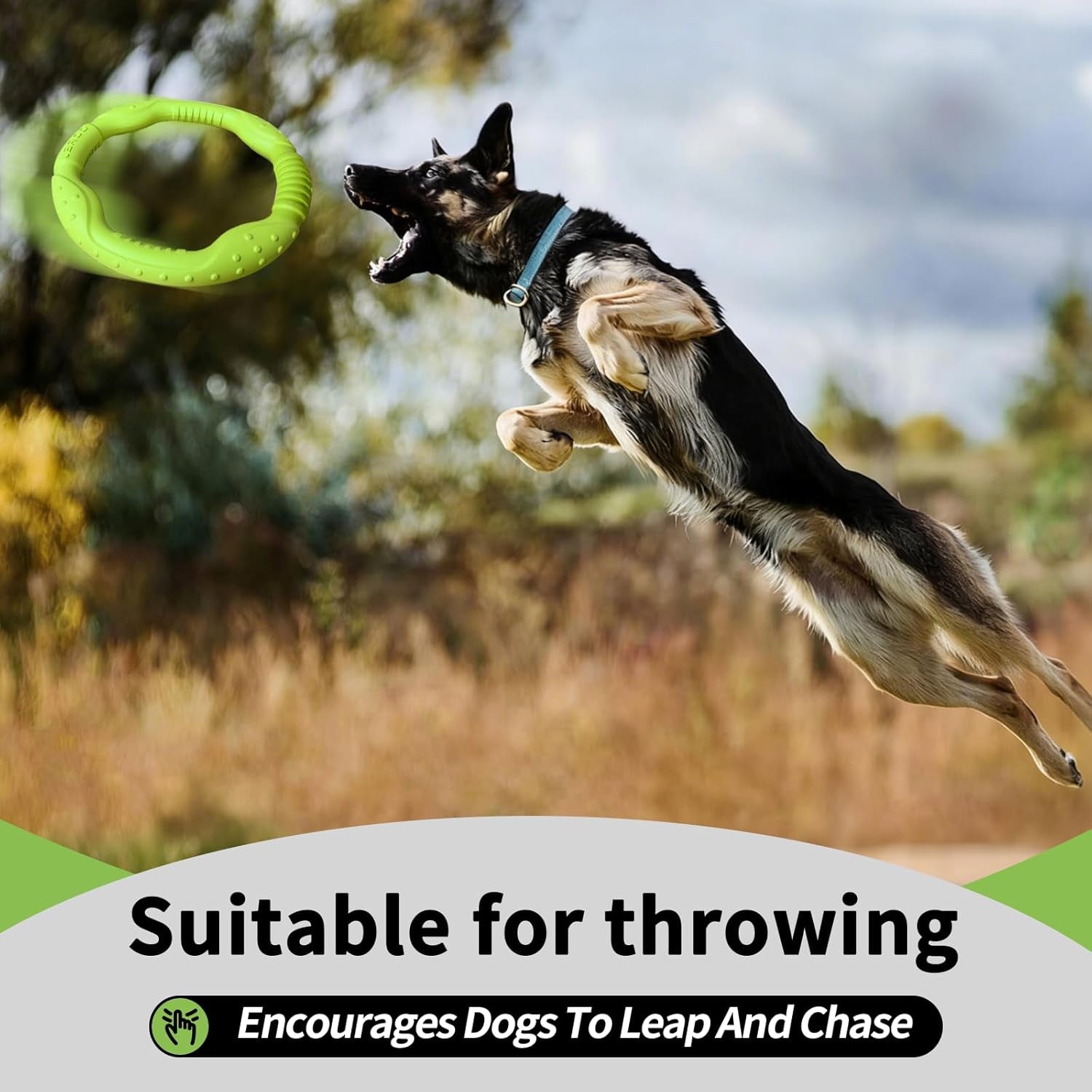 Durable Lightweight Floating Ring & Flying Disc