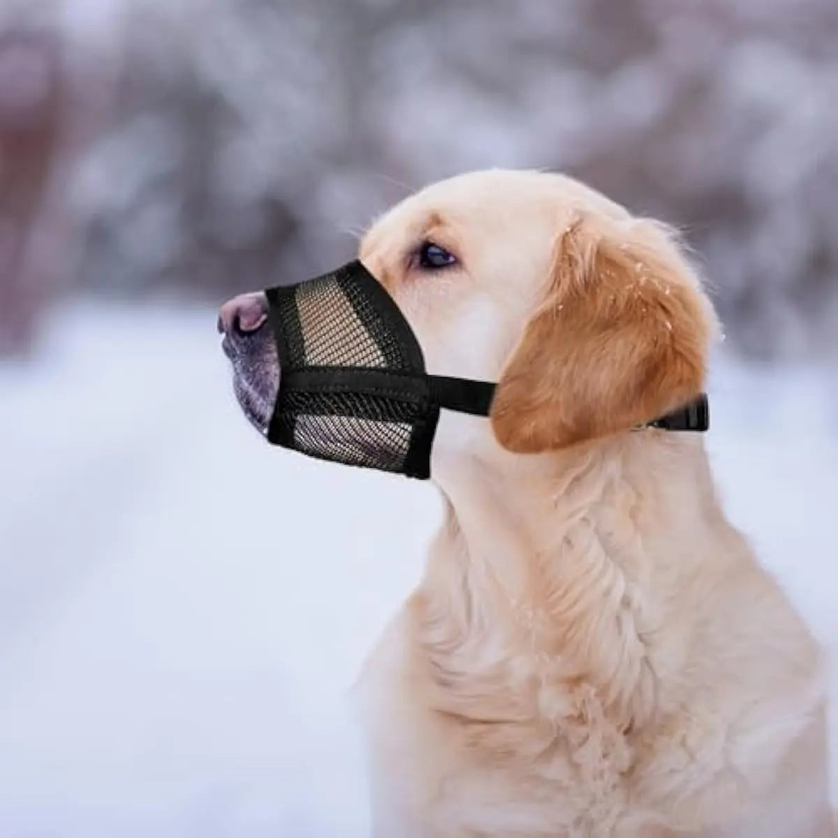 AeroMesh™ Adjustable Comfort Muzzle