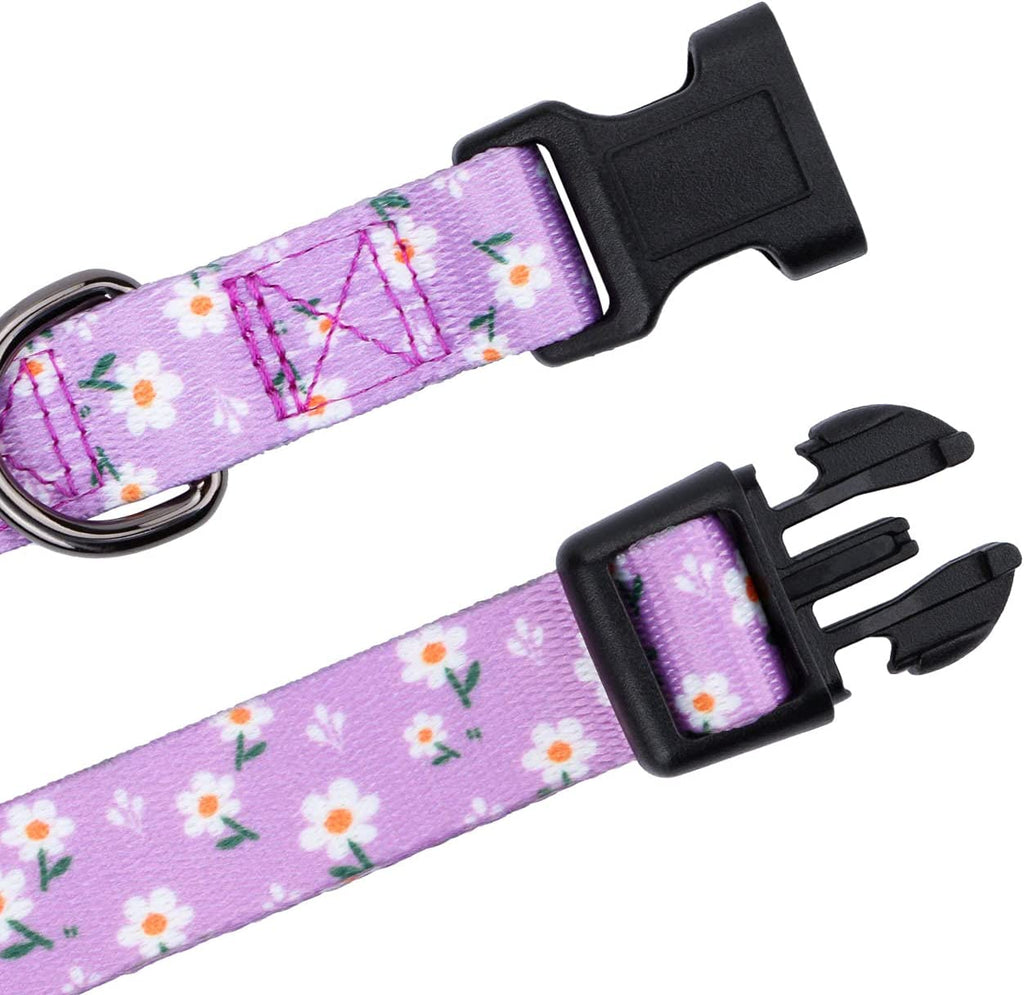 BlossomPaws™ Adjustable Violet Dog Collar