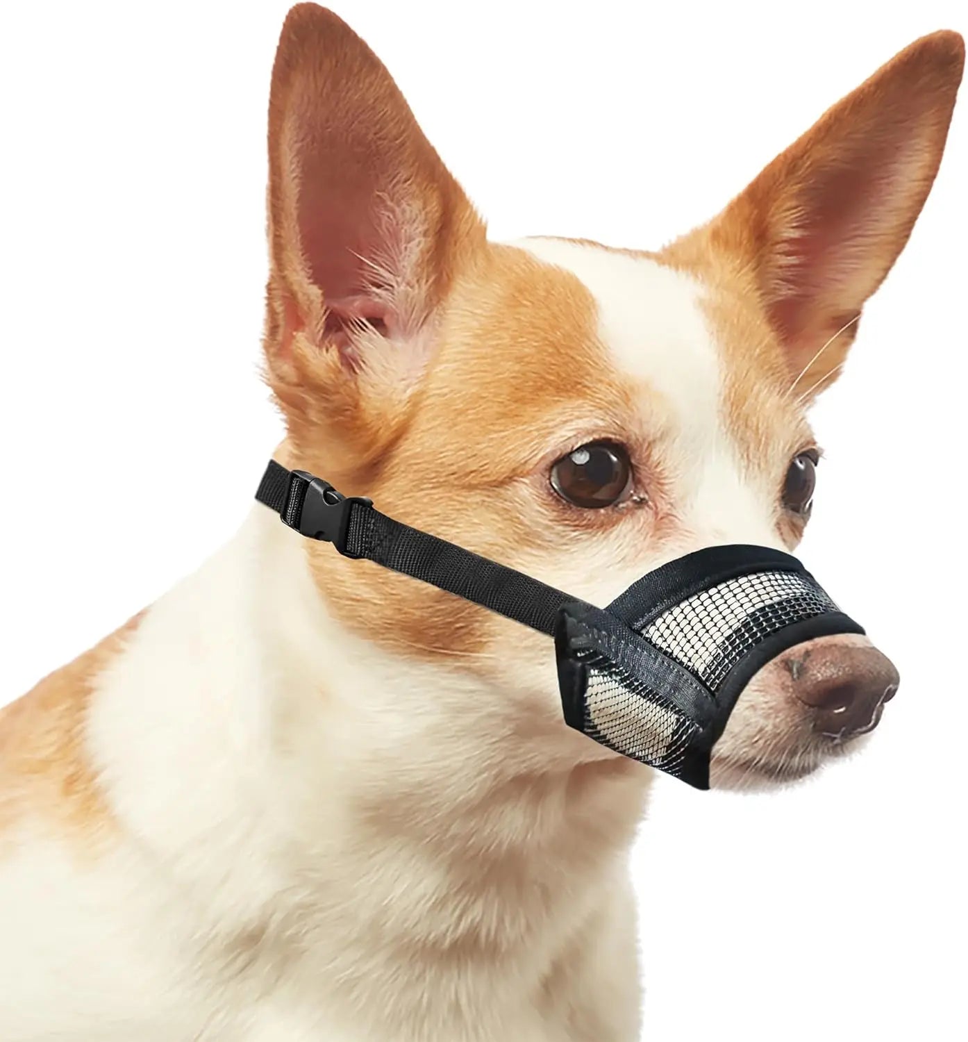 AeroMesh™ Adjustable Comfort Muzzle